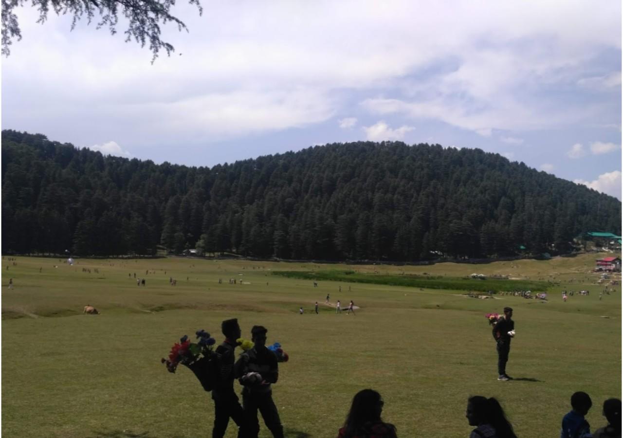 Cozy Swiss Meadows Hotel Khajjiar Ngoại thất bức ảnh